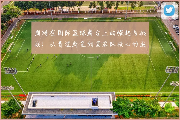 周琦在国际篮球舞台上的崛起与挑战：从青涩新星到国家队核心的成长之路